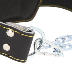 HMS Lder Dipping Blte