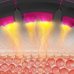 HMS Deluxe Smart Justerbar Hulahopring med Vgt (Sort/Pink)