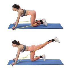 HMS Komplet Trningselastik St