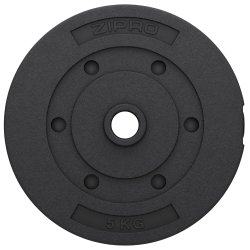 Vgtskive 5 kg (31 mm)