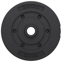 Vgtskive 2,5 kg (31 mm)