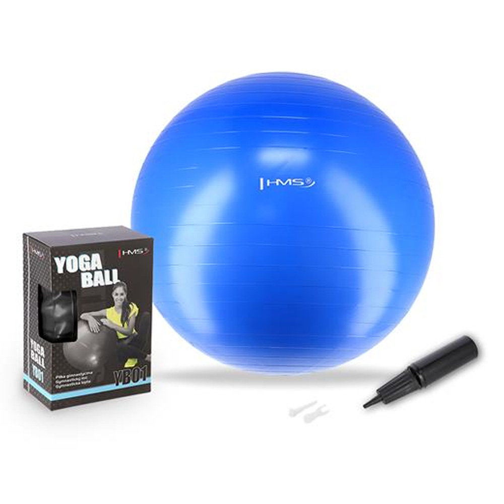 Træningsbold 55 cm - Træningsudstyr | LavprisFitness.dk